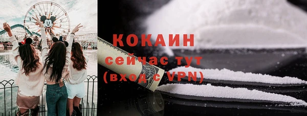 МДПВ Абаза