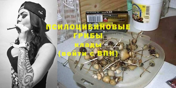 apvp Алзамай