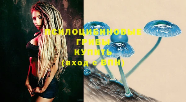 индика Абдулино